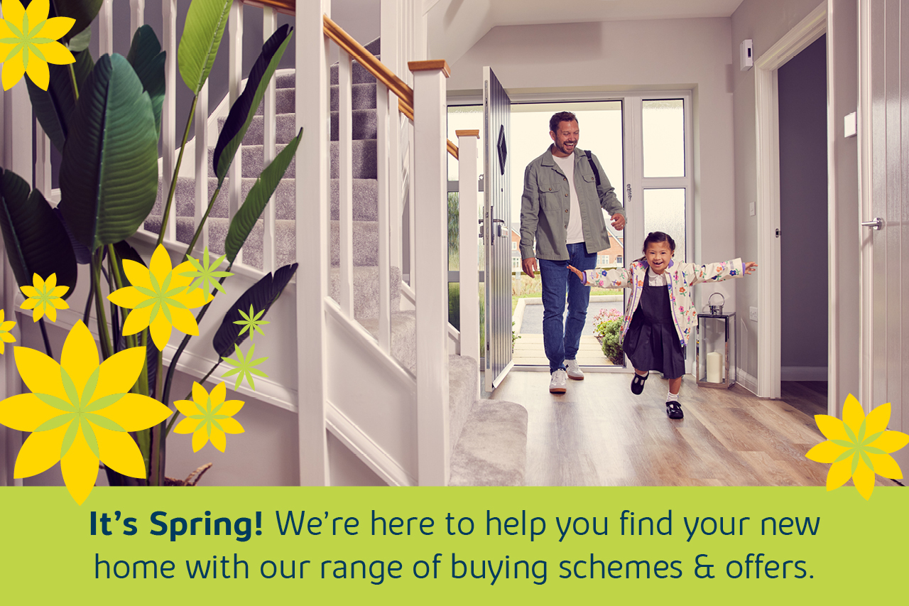 The Tors New Homes in Tavistock for Sale, New Build Houses in